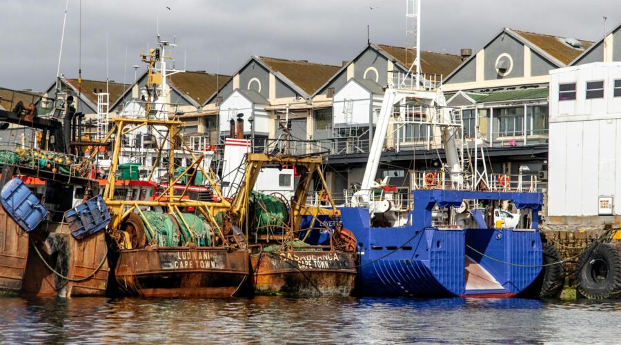 Cape Verde Partners with Japan to Industrialize Fishing Sector