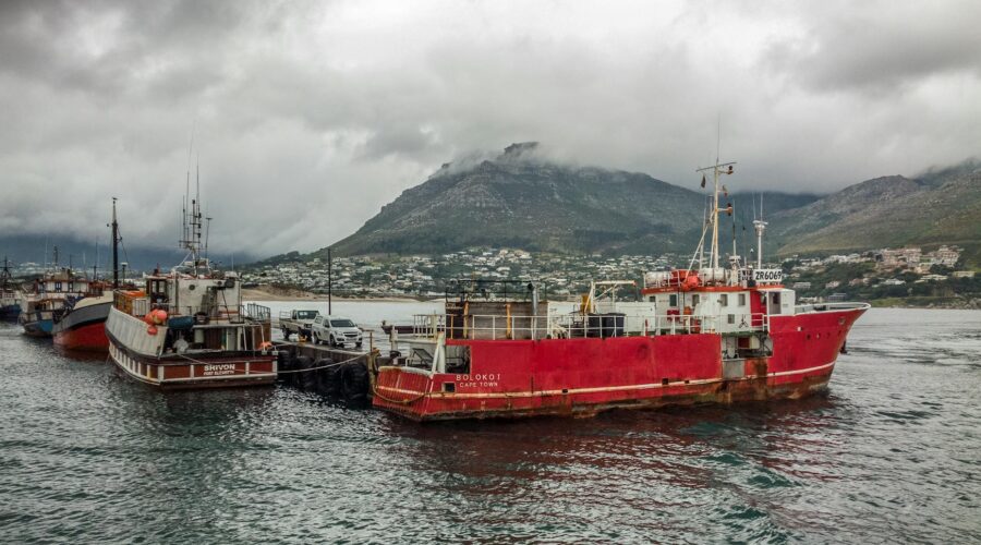 Cape Verde & Japan Partner to Industrialize Fishing Sector