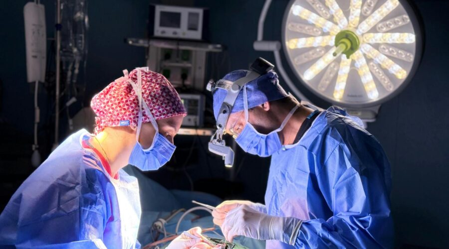 Cape Verde Performs Historic First Kidney Transplant