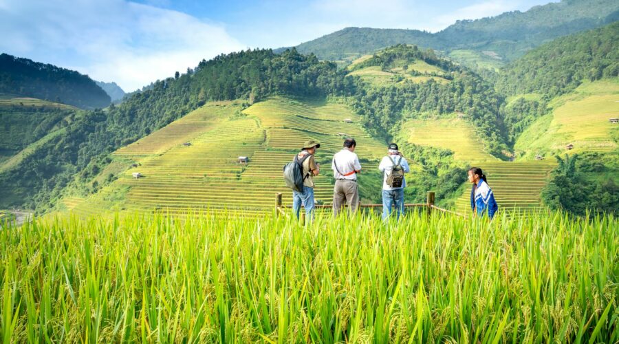 Hiking Vale de Paul: Santo Antão’s Lush Green Heart