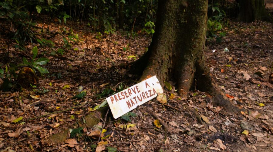 On This Day April 22: History, Brazil’s Discovery & Earth Day