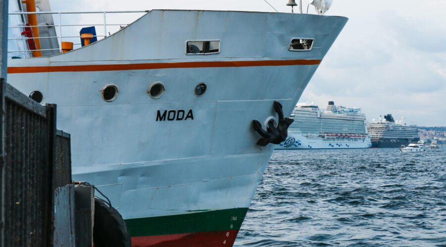 ECDC: Low Risk to Europe After Fatal Cruise Ship Hantavirus