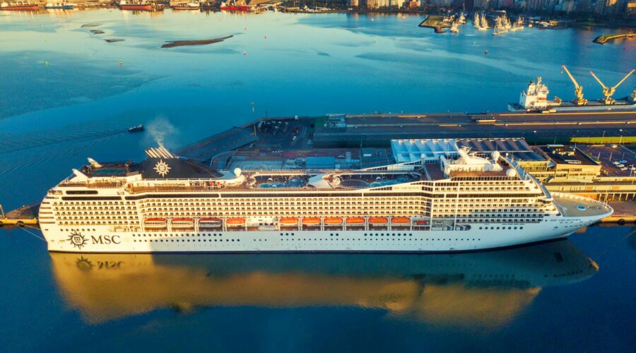 Hantavirus Outbreak: 3 Dead on Quarantined Cruise Ship