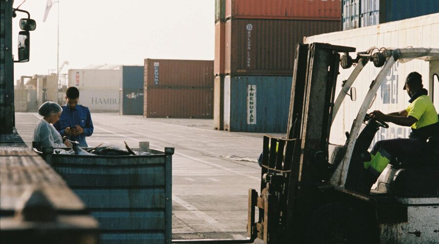 Cape Verde Import Prices Rise in March: Ending Decline Trend