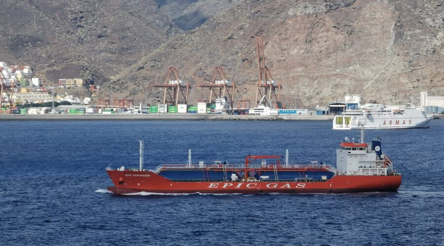 Hantavirus Outbreak: Cruise Ship Quarantined in Canary Islands