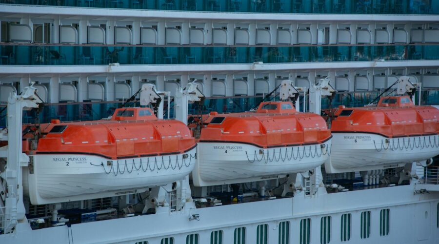 WHO: Cruise Ship Hantavirus Outbreak Not a New Pandemic