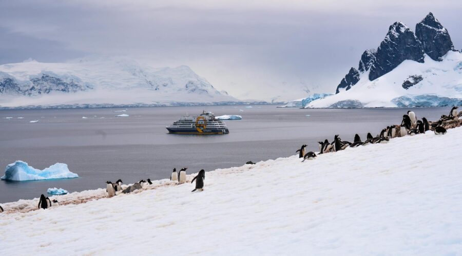 Hantavirus Outbreak on Antarctic Cruise: 3 Dead from Andes Strain