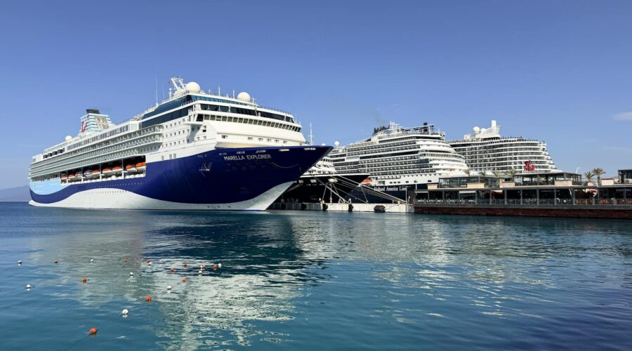 WHO Chief: Low Risk of Hantavirus Spread After Ship Outbreak