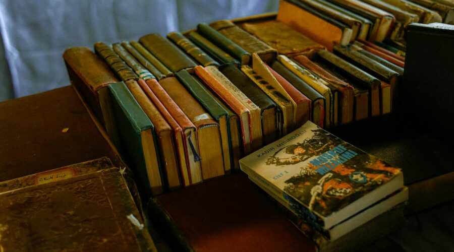 Arnaldo França Literary Prize: Applications Open for 2024