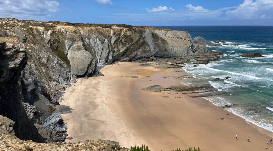 Alentejo News: Gun Seizure, Owl Rescue & Summer Festivals