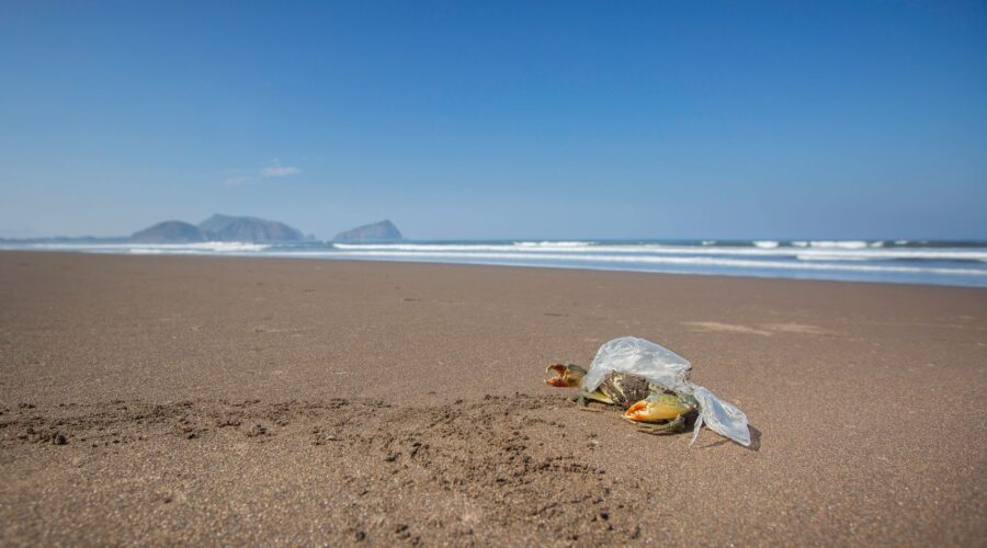 Cape Verde Launches €5M Initiative to Clean Atlantic Islands