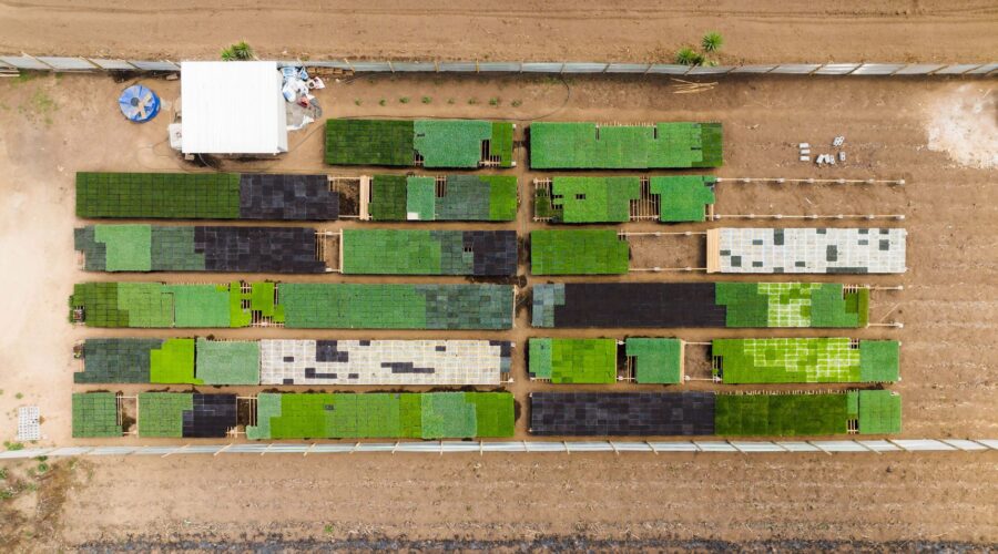 Cape Verde’s Sun-to-Plate Grid: Solving the Land-Energy Crisis