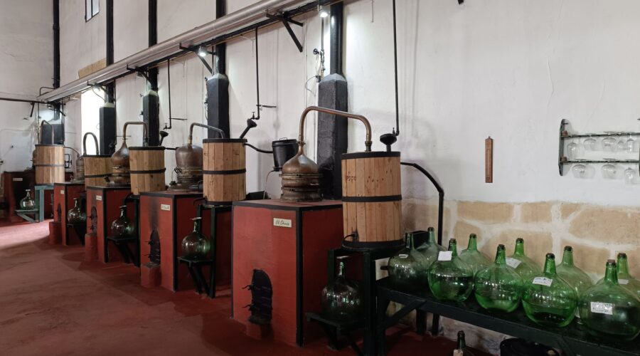 Guardians of Grogue: Cape Verde’s Distilling Heritage