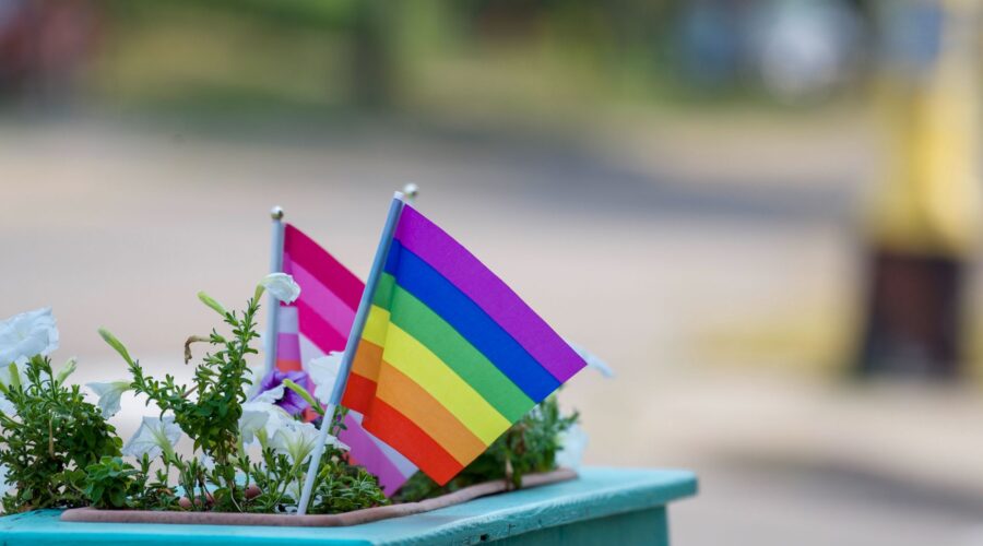 Cape Verde School Reforms Target Anti-LGBTI+ Violence