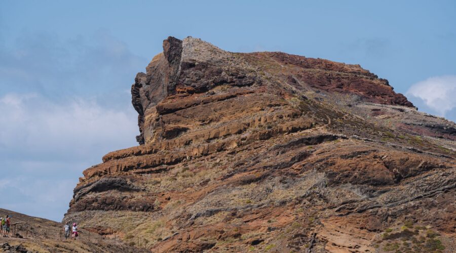 Cape Verde Shearwater: Breeding & Marine Conservation