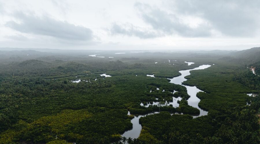 Guinea-Bissau Launches RESIslands for Climate Investment
