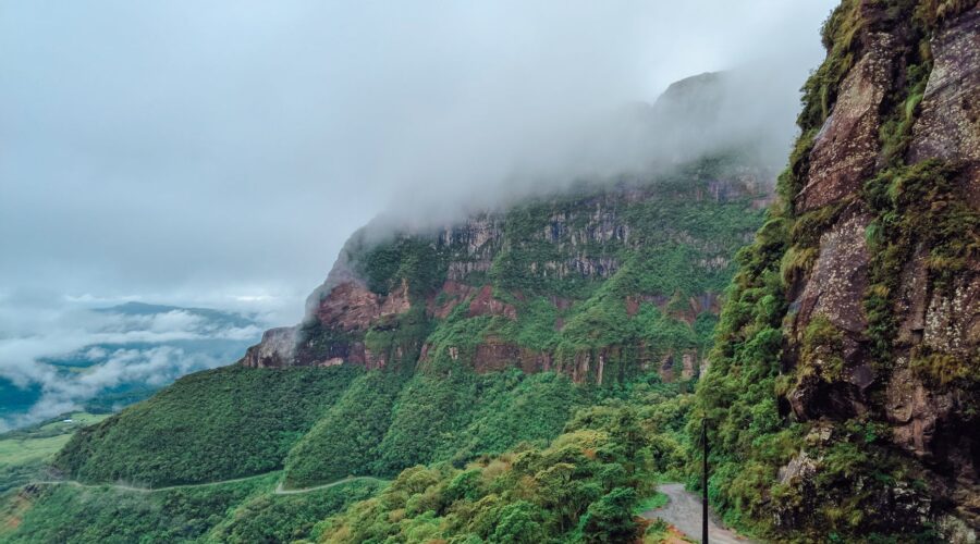 Cape Verde’s Highland Forests: Biodiversity & Cloud Mists