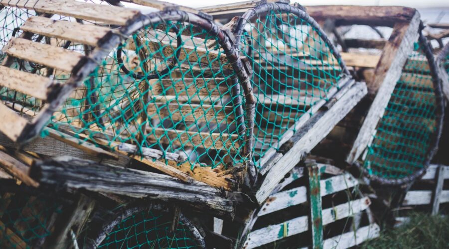 The Lobster Economy: Cape Verde’s Sustainable Seafood Trade