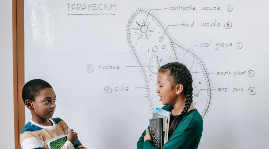 Cape Verde Basic Education Completion Hits 10-Year Low