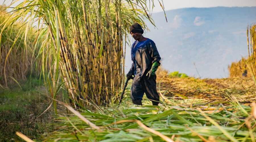 IFC to Ignite Growth in Lusophone Africa via Key Sectors