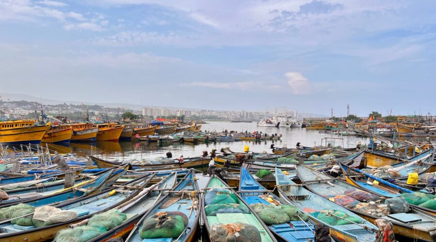 Angola Fish Production Hits 664,000 Tons Amid Industrial Surge